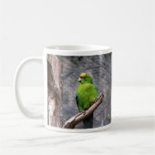 Gelb-gekrönter Parakeet Kaffeetasse (Links)