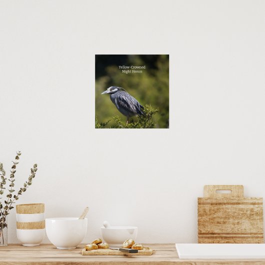 Gelb gekröntes Night Heron Poster (Küche)