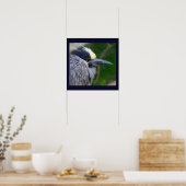 Gelb gekröntes Night Heron Poster (Küche)