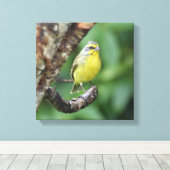 Gelb gezeichnete Kanarenfläche auf einer Baumzweig Leinwanddruck (Insitu (Holzboden))