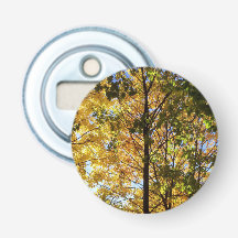 Gelb-grüne Herbstfoliage