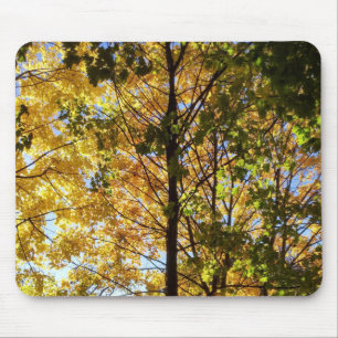 Gelb-grüne Herbstfoliage Mousepad