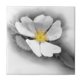 gelb in Grautönen Fliese (Vorderseite)