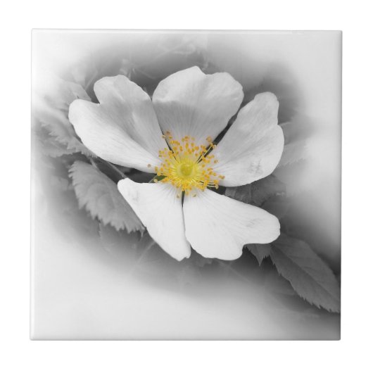 gelb in Grautönen Fliese (Vorderseite)