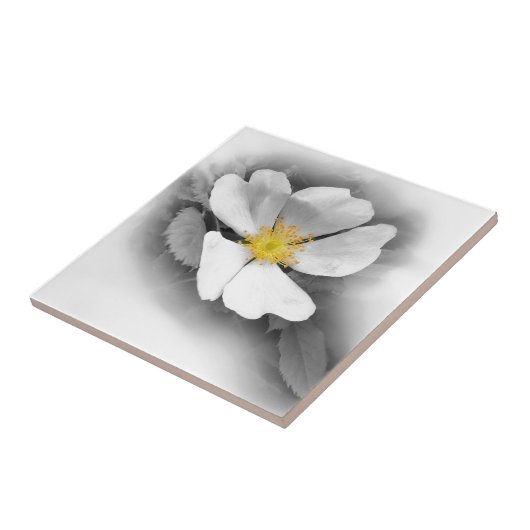 gelb in Grautönen Fliese (Seite)