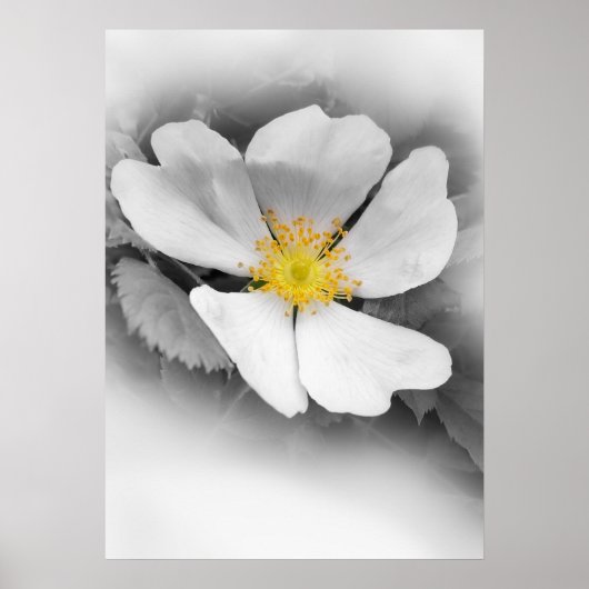 gelb in Grautönen Poster (Vorne)