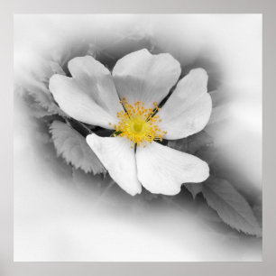 gelb in Grautönen Poster