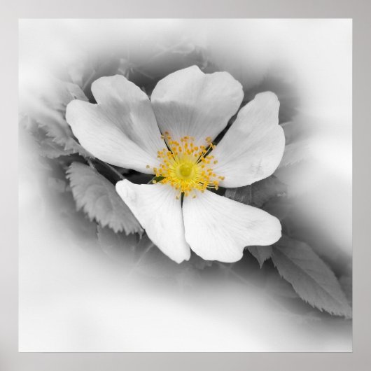 gelb in Grautönen Poster (Vorne)