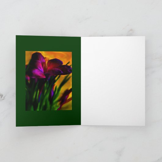 gelb karte (Innenseite)