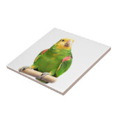 Gelb-köpfiger Amazonas Fliese (Seite)