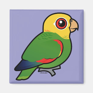 Gelb-köpfiger Amazonas Magnet