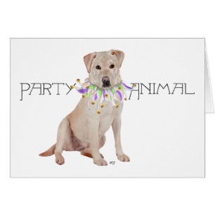 Gelb Labrador Retriever Party