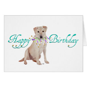 Gelb Labrador Retriever Party