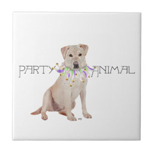Gelb Labrador Retriever Party Fliese