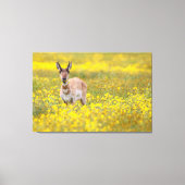 gelb leinwanddruck (Vorderseite)