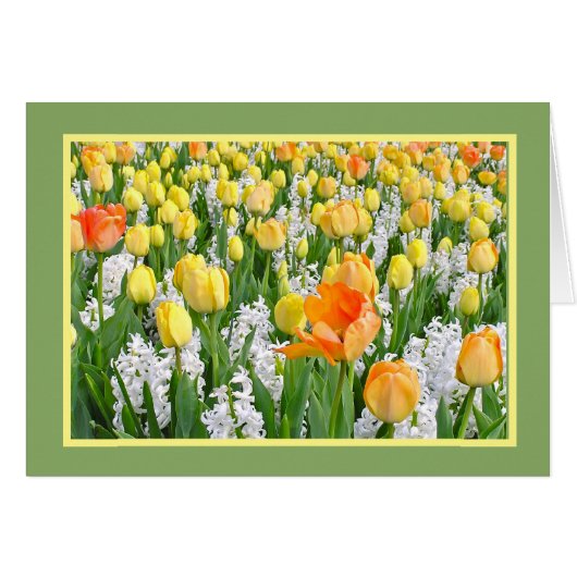 GELB, MANDARINE TULIPS MIT WEISSEN HYACINTHIEN (Vorderseite (Horizontal))