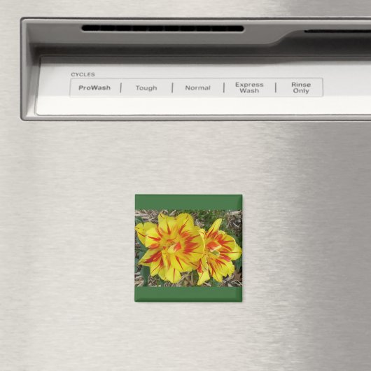 Gelb mit rot gestreifter Blume Magnet (In Situ (Geschirrspüler))