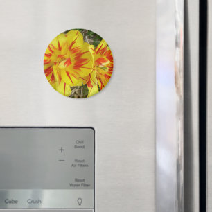 Gelb mit rot gestreifter Blume Magnet