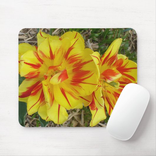 Gelb mit rot gestreifter Blume Mousepad (Mit Mouse)