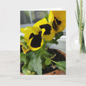 Gelb mit schwarzen Stiefmütterchen Karte (Vorderseite)