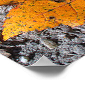 Gelb-orange Blatt-Fotoplakat Poster (Ecke)