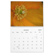Gelb-orangeer rosa Kalender der Blumen-2010 (Jan 2027)