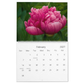 Gelb-orangeer rosa Kalender der Blumen-2010 (Feb 2027)