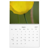 Gelb-orangeer rosa Kalender der Blumen-2010 (Mär 2027)