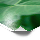 Gelb-orangefarbenes Farbmakro nah nach hinten Fotodruck (Ecke)