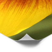 Gelb-, Orangen- und Braunblütenposter Poster (Ecke)