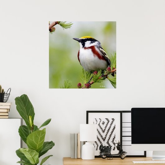 Gelb Poster (Heimbüro)