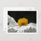 gelb postkarte (Vorne/Hinten)