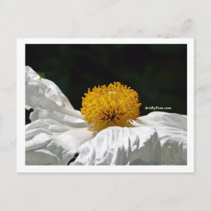 gelb postkarte
