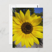 Gelb Postkarte (Vorne/Hinten)