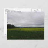 gelb postkarte (Vorne/Hinten)