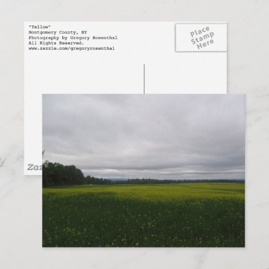 gelb postkarte (Vorne/Hinten)