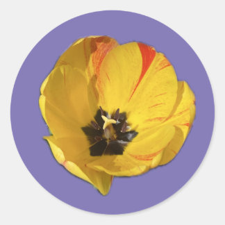 Gelb-Rot-Tulip-Aufkleber Runder Aufkleber