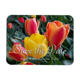 Gelb-Rot-Tulips-Foto Save the Date Magnet