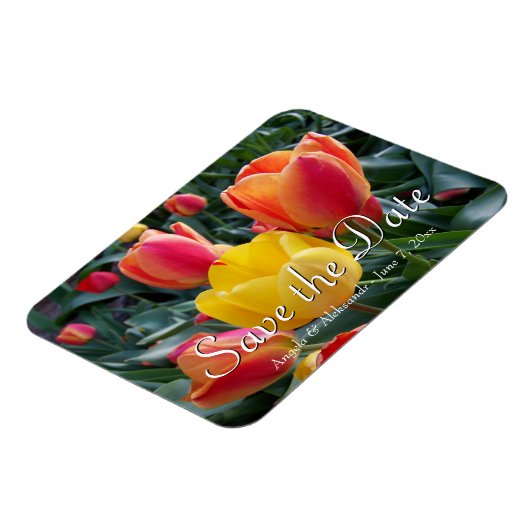 Gelb-Rot-Tulips-Foto Save the Date Magnet (Linke Seite)