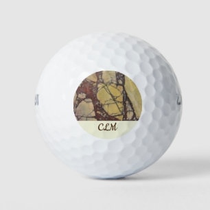 Gelb-roter Wirbelachat-Foto-Edelstein Golfball