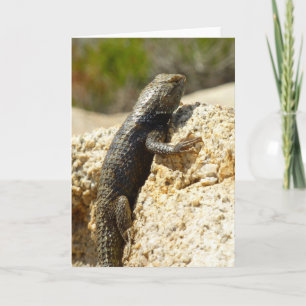 Gelb Rücken Stachelleguan in Joshua Tree Karte