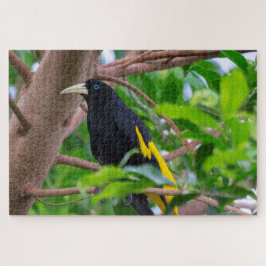Gelb-Rumped Cacique Puzzle