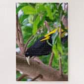 Gelb-Rumped Cacique Puzzle (Vertikal)