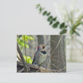 Gelb schattierte Flicker-Koordinaten Postkarte (Stehend Vorderseite)