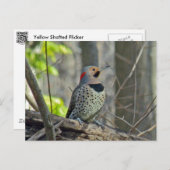 Gelb schattierte Flicker-Koordinaten Postkarte (Vorne/Hinten)