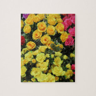 gelb, schick, Vintag, rot, rosa, Rose, Blume, Puzzle
