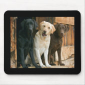 Gelb, Schwarz, Braun Labrador Retriever Mousepad (Vorne)