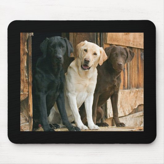 Gelb, Schwarz, Braun Labrador Retriever Mousepad (Vorne)