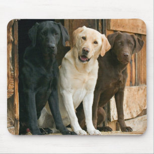 Gelb, Schwarz, Braun Labrador Retriever Mousepad