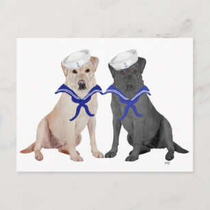 Gelb & Schwarze Labrador Retriever Postkarte